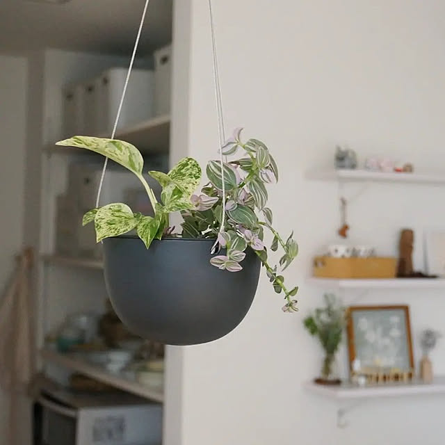 プランター プラントポット キントー Kinto 14cm ベージュ 送料無料 ハンギングプランター 吊り鉢 プラントハンガー 植木鉢 壁掛け 吊るす 吊り下げ おしゃれ 観葉植物 屋内 室内 店舗 ディスプレイ お店 多肉植物 底穴 鉢カバー 3980円以上送料無料 のレビュー プランター プラントポット キントー Kinto 14cm ベージュ 送料無料 ハンギングプランター 吊り鉢 プラントハンガー 植木鉢 壁掛け 吊るす 吊り下げ おしゃれ 観葉植物 屋内 室内 店舗 ディスプレイ お店 多肉植物 底穴 鉢カバー 3980円以上送料無料 のレビュー