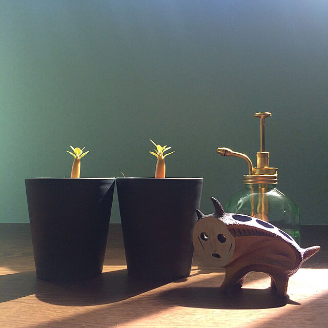 岡本太郎 ミニチュア 犬の植木鉢のレビュー クチコミとして参考になる投稿5枚 Roomclip Item