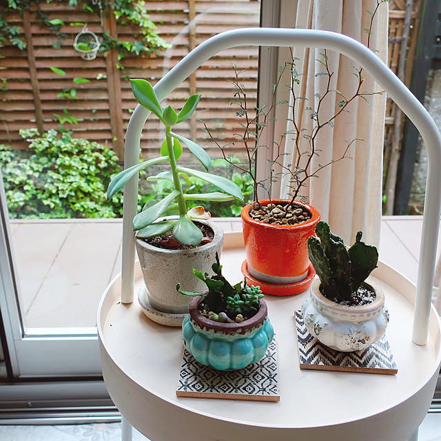 カラーグレイズドポット 2号鉢目安 Color Glazed Pot 全10色 ダルトン Dulton カラフルなうわぐすりのポット おうちじかん Z のレビュー クチコミとして参考になる投稿6枚 Roomclip ルームクリップ カラーグレイズドポット 2号鉢目安 Color Glazed Pot 全10色 ダルトン Dulton カラフルなうわぐすりのポット おうちじかん Z のレビュー クチコミとして参考になる投稿6枚 Roomclip ルームクリップ