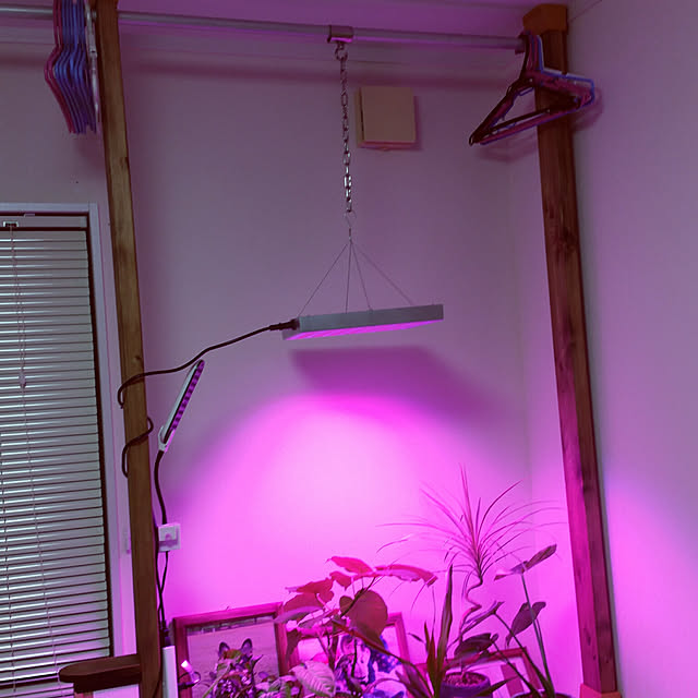 植物育成 Led 植物育成ライト 45w Led植物育成 225led 植物育成パネル 水耕栽培ランプ Ledパネル 室内 植物 照明 Led ライトのレビュー クチコミとして参考になる投稿3枚