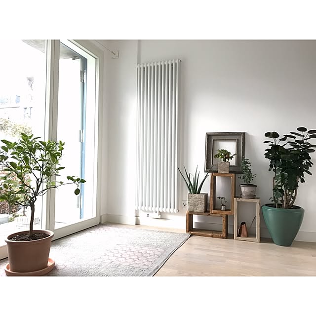 「OLD…」の商品情報 ｜ RoomClip（ルームクリップ）20161116 083126