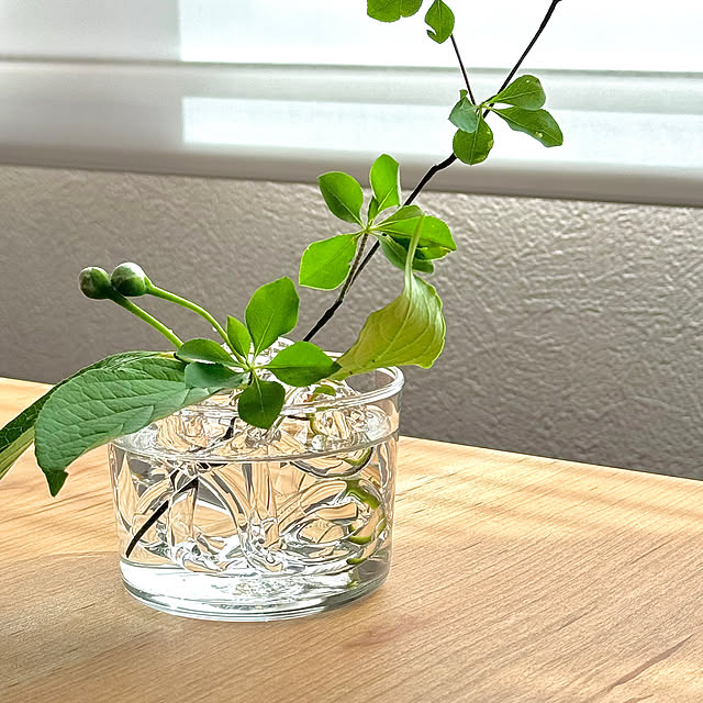 【使い方のコツ】いつものグラスが、特別な瞬間を演出する花器に。無印良品のボデガグラスの使い方 by umiohouseさん
