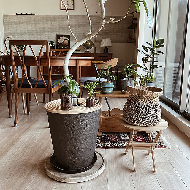 植物の存在感アップ！魅力的なディスプレイを叶えるプラントスタンド