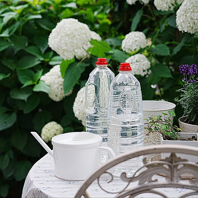 無理せず自然体のまま暮らしをスリム化！お家の中で変えたら節約になったこと10選