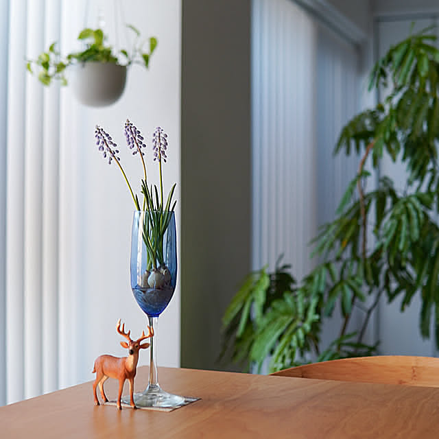 【今週の〇〇】テーマは「植物のある暮らし」！最新の投稿写真をピックアップ