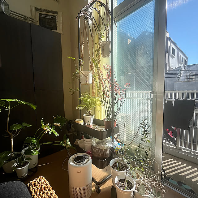 【今週の〇〇】テーマは「植物のある暮らし」！最新の投稿写真をピックアップ