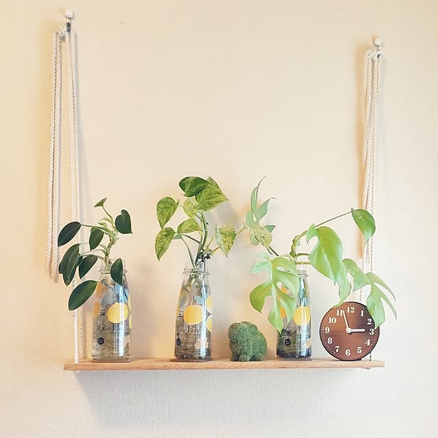 【今週の〇〇】テーマは「植物のある暮らし」！最新の投稿写真をピックアップ