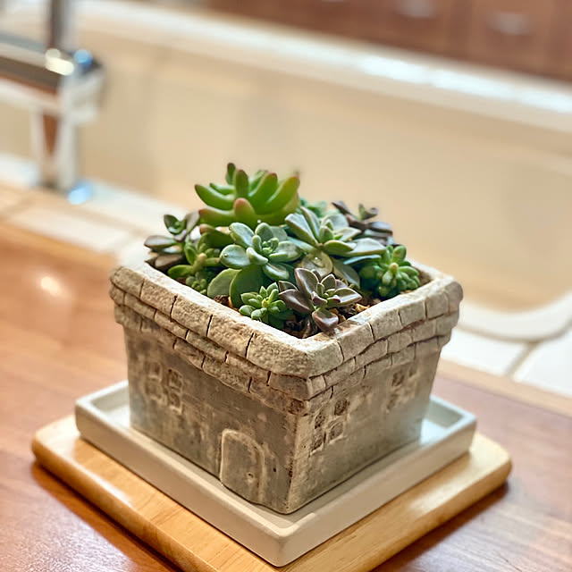 お気に入りの植物を飾りたい☆DIYで作る植木鉢やプランター