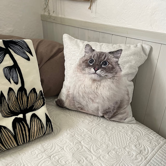 お部屋や用途に合わせて選ぶ♪ニトリのクッションカバーがある暮らし