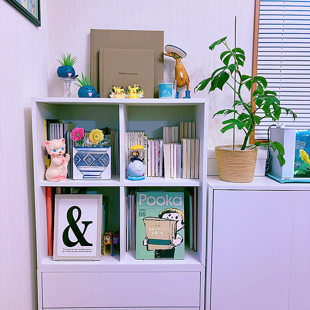 本・雑誌はコレで整う！おすすめの収納アイテムと美しく見える収納の工夫をご紹介
