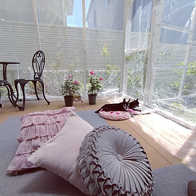 もう虫に悩まされたくない！参考にしたい、みんなの虫よけ＆虫対策