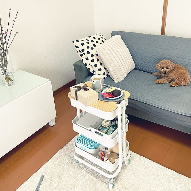 収納力もインテリア性もばっちり！IKEAの人気ワゴン3選と活用法