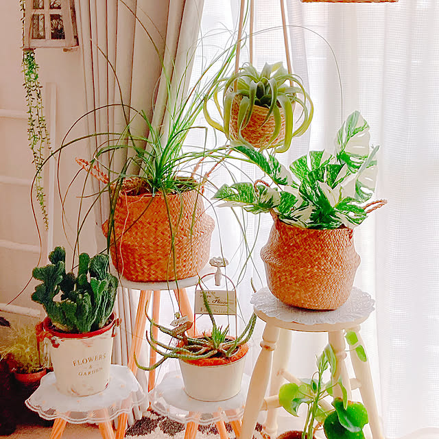 【みんなが選んだ！】おしゃれにお部屋が整う♪Standard Productsの収納アイテム4選