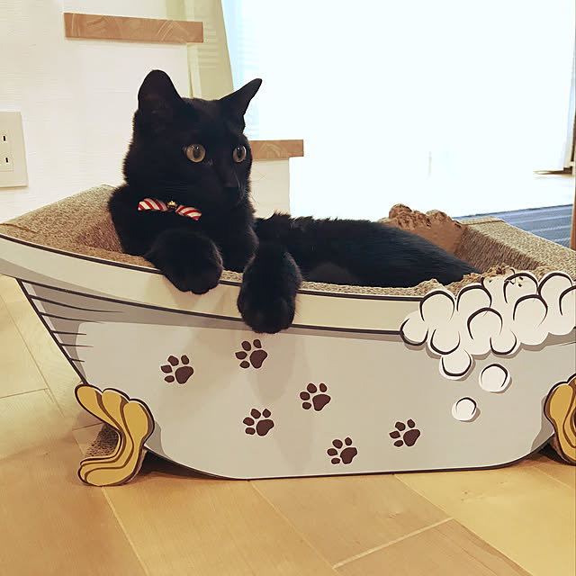 【みんなが選んだ！】ネコちゃんも飼い主もうれしい♪「おしゃれな爪とぎ」4選