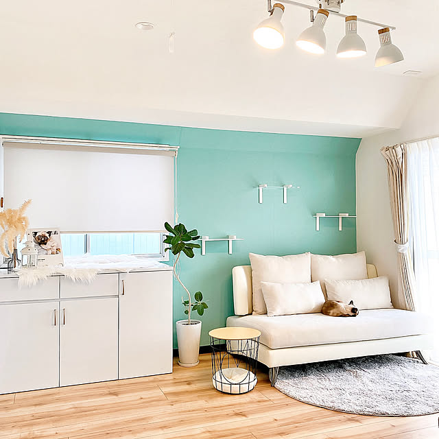 ニトリにはどんなロールスクリーンがある？サイズやデザイン、コーディネートも一挙にご紹介