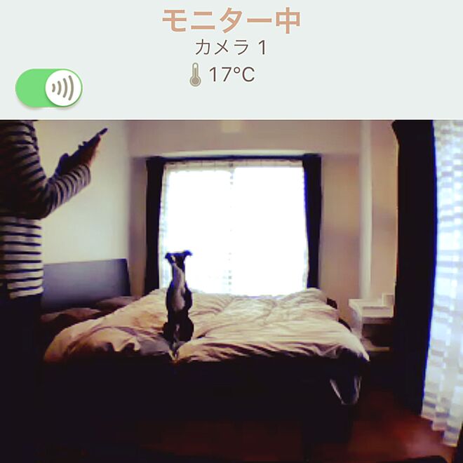watakurumiさんの部屋