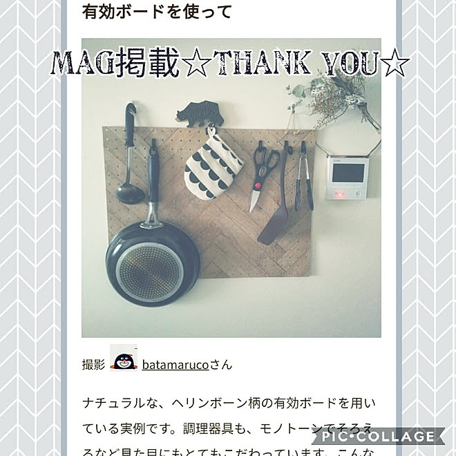 キッチン/mag掲載ありがとうございます♡/調理器具 収納/有効ボード/カインズのインテリア実例 - 2019-01-15 20:23:13