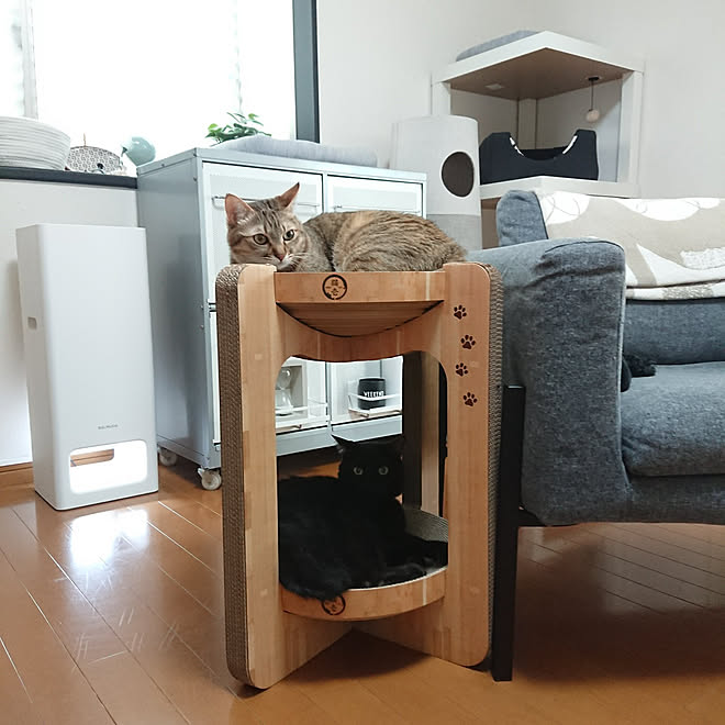 maikyさんの部屋