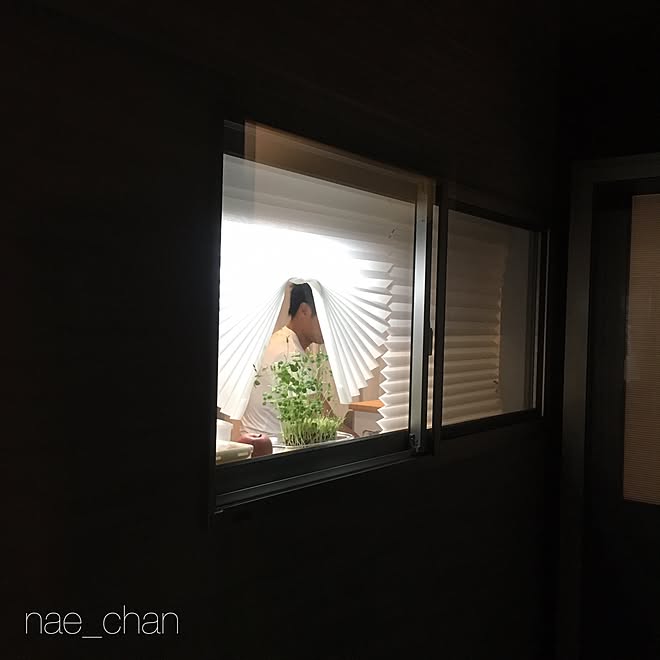 nae_chanさんの部屋