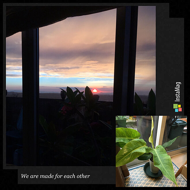 夕陽が見えるリビング/リゾート/オールドハワイアン/ハワイアンインテリア/高台にある家...などのインテリア実例 - 2019-07-27 09:20:25