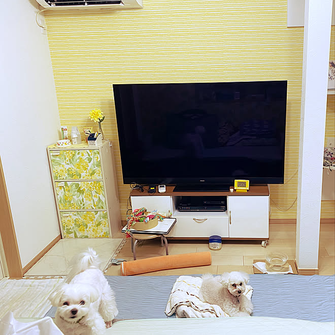 Annieさんの部屋