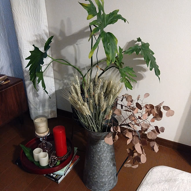 kakkaさんの部屋