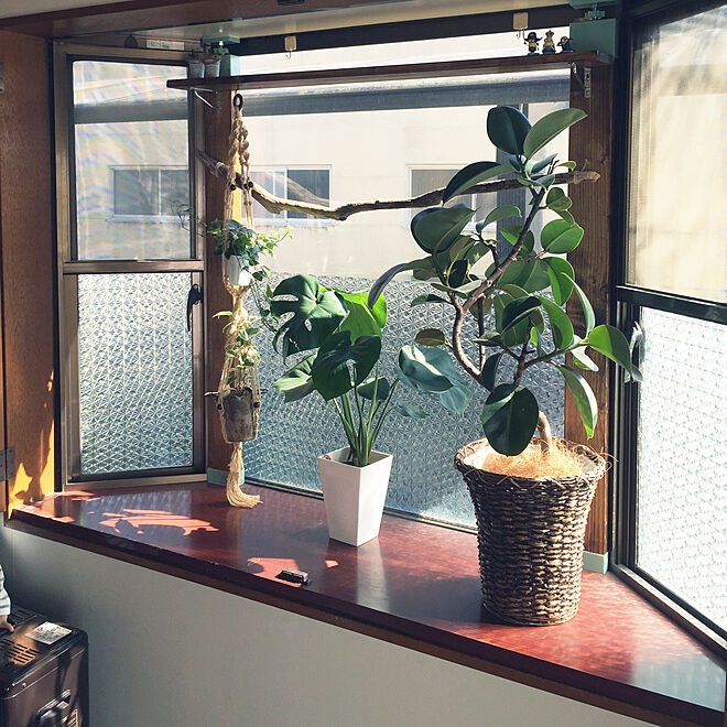 リビング 中古住宅 観葉植物のある部屋 観葉植物 出窓 などのインテリア実例 17 10 23 10 59 54 Roomclip ルームクリップ