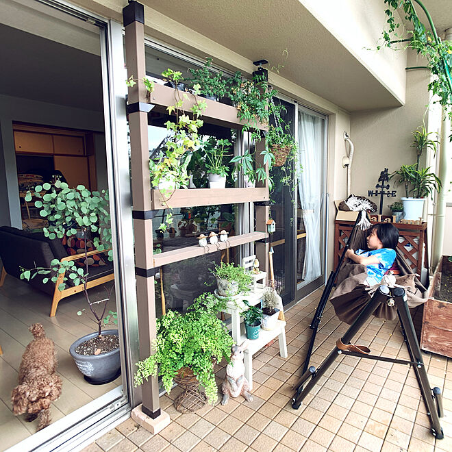 ユーカリ ヘデラ シフラスハンモック シフラス ベランダdiy などのインテリア実例 08 15 08 59 47 Roomclip ルームクリップ