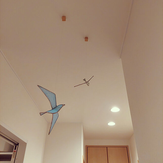 壁/天井/鳥飛ばしてみた/陶器が好き/照明のインテリア実例 - 2022-12-30 18:08:58