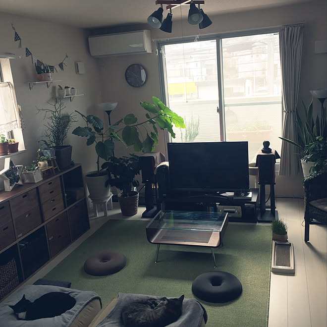 kirinさんの部屋