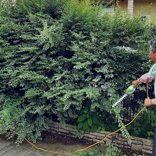 prepreさんの部屋