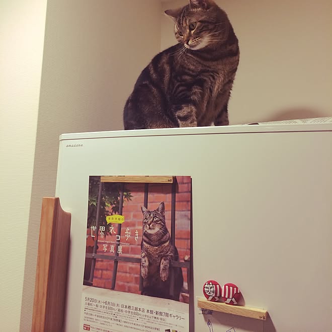 mikomaruさんの部屋