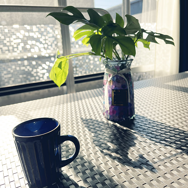 ダイソーマグカップ ヒメモンステラ ダイソー花瓶 ダイソー 観葉植物 などのインテリア実例 22 10 15 09 28 Roomclip ルームクリップ