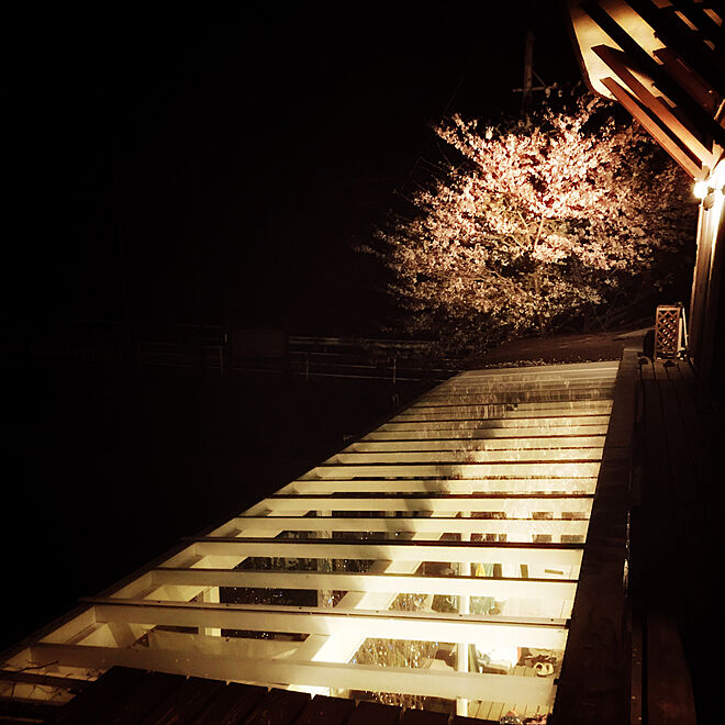 ベッド周り/夜桜を我が家で/桜を愛でる/サンルーム/ライトアップ...などのインテリア実例 - 2018-04-07 15:27:41