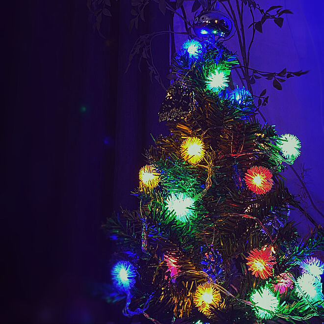 クリスマスツリー/リビングのインテリア実例 - 2020-12-20 18:21:27