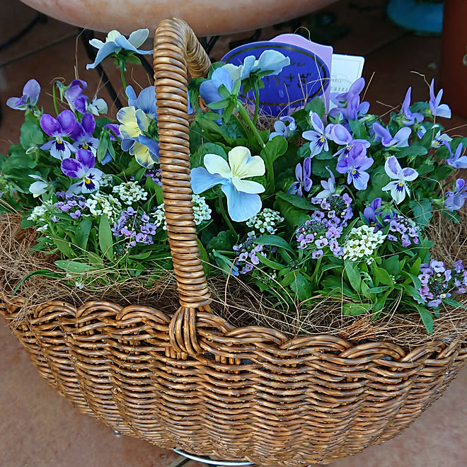 カゴ入り♡月うさぎちゃん カゴ入り♡月うさぎちゃん