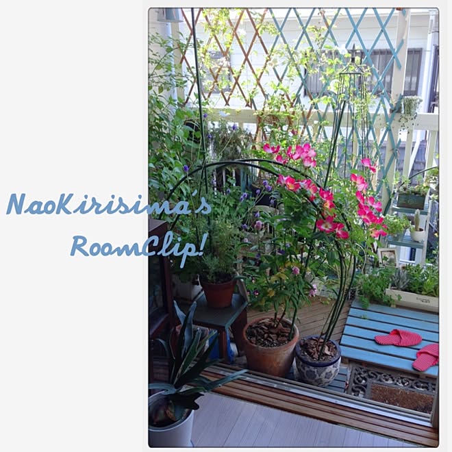 naokirisimaさんの部屋