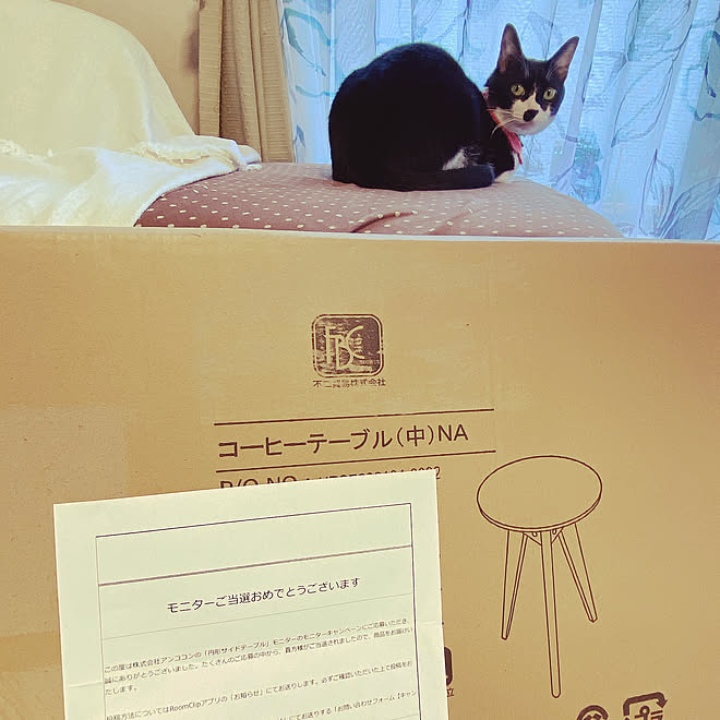 moolさんの部屋