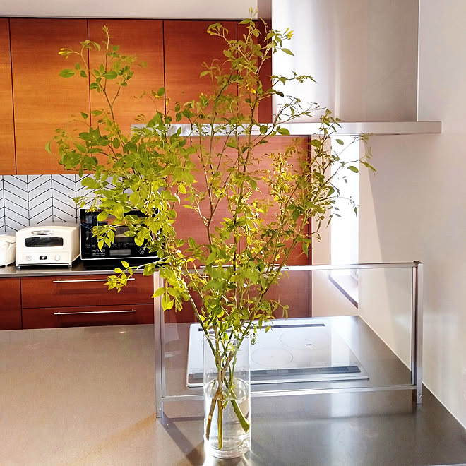 キッチン 枝もの 名前わからない植物 ステンレスワークトップ オリジナルキッチン などのインテリア実例 21 04 11 05 44 46 Roomclip ルームクリップ