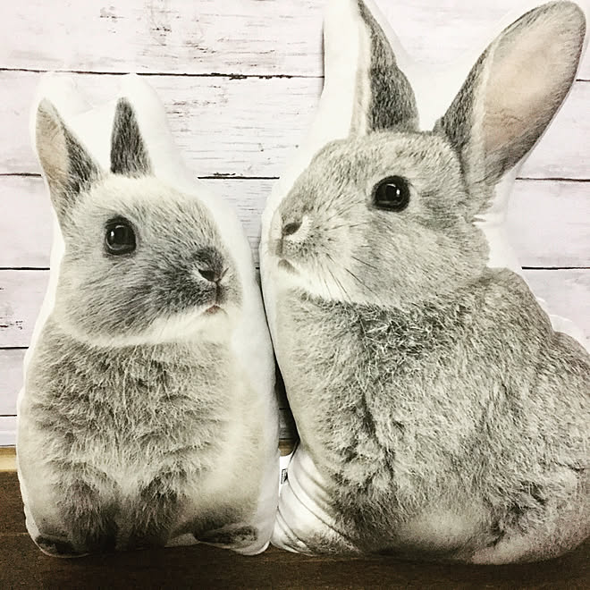 ニトリ うさぎ クッション キキ ビック＆スモール 吹き掛ける