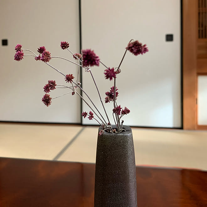 元は苔玉でした 千紅花火 冬 天然ドライフラワー ドライフラワー などのインテリア実例 21 01 11 17 30 00 Roomclip ルームクリップ