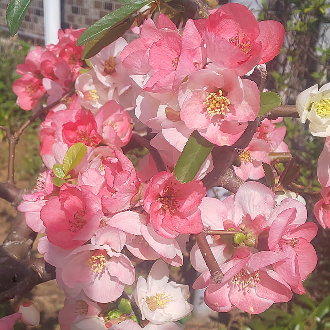 YUKOさんの部屋