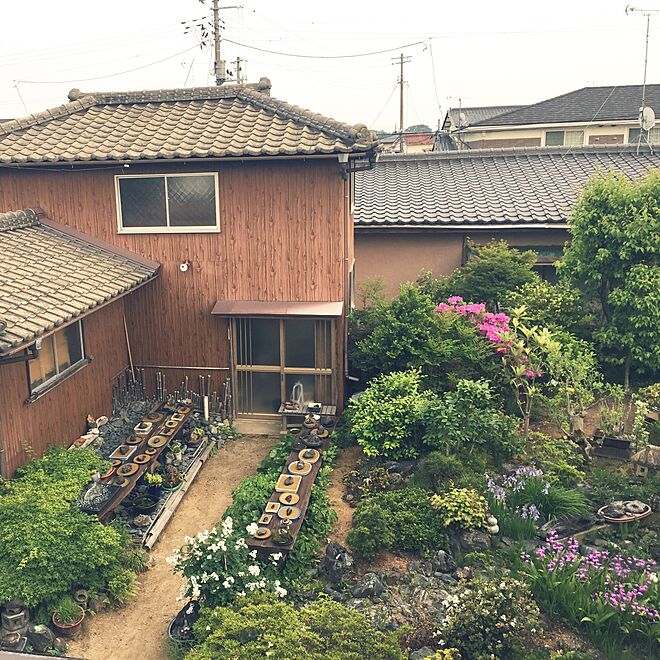 玄関/入り口/庭/日本庭園/お花のインテリア実例 - 2015-05-16 17:46:39