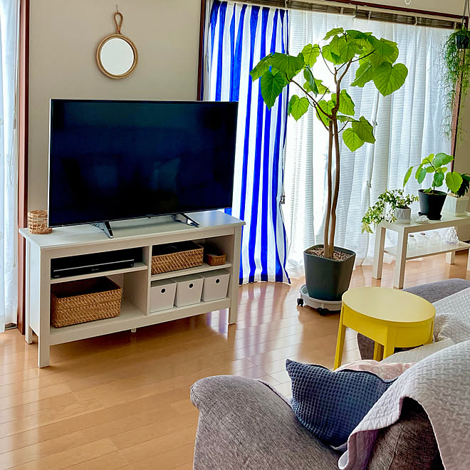 ブルサリ/IKEA/テレビ台/テレビボード/観葉植物のある暮らし...などのインテリア実例 - 2022-08-26 16:14:03