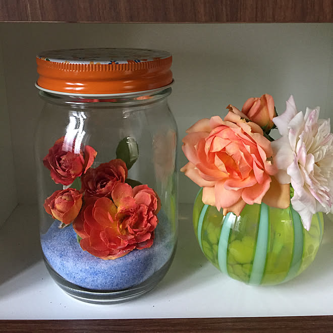 バス トイレ シリカゲルドライ ダイソーの瓶 バラが好き ドライフラワー などのインテリア実例 17 07 25 16 36 10 Roomclip ルームクリップ バス トイレ シリカゲルドライ ダイソーの瓶 バラが好き ドライフラワー などのインテリア実例 17 07 25 16 36 10 Roomclip ルームクリップ