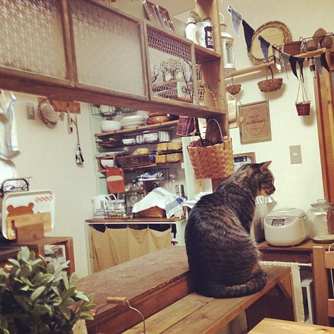 キッチン/edenちゃんリメ瓶♡/DIY/IKEA/猫さん...などのインテリア実例 - 2014-01-24 19:01:05