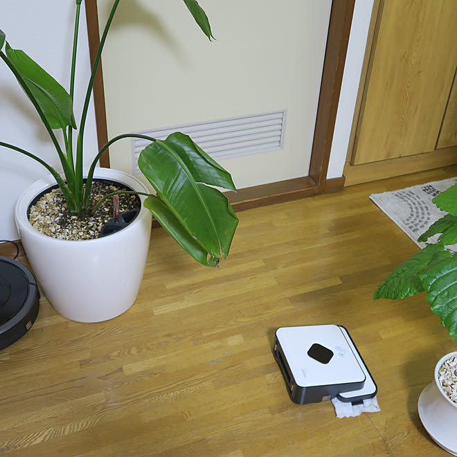 ficus38さんの部屋