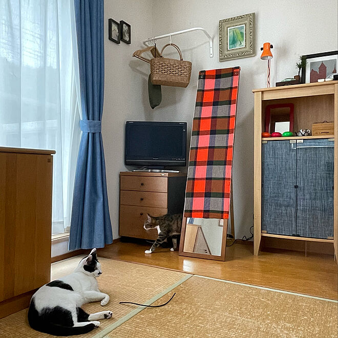 nobikoさんの部屋