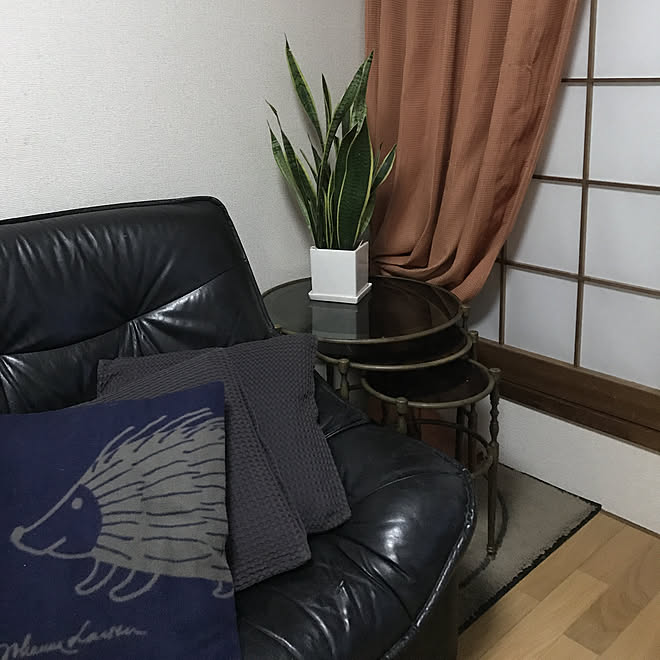 picarinnさんの部屋