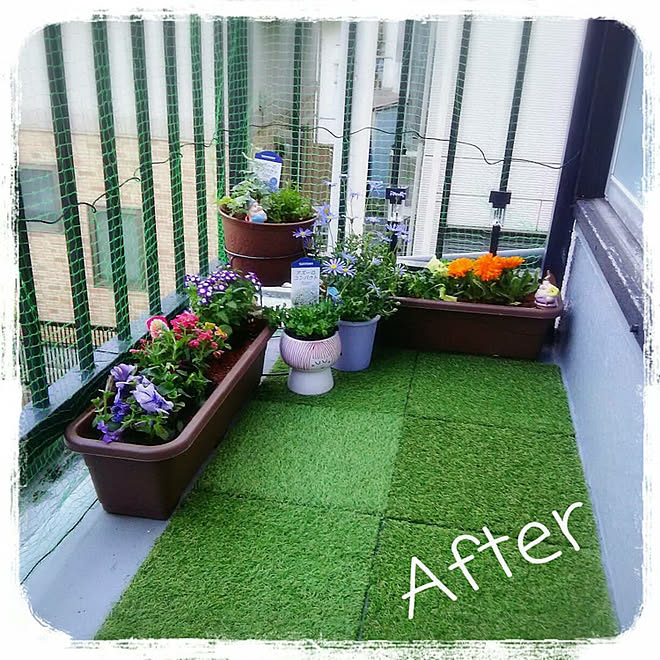 人工芝マット コーナン 狭いベランダ ベランダ 賃貸 ベランダガーデニング初心者 などのインテリア実例 18 03 25 17 48 35 Roomclip ルームクリップ